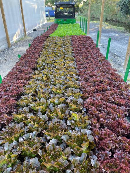  Commercial & Industrial Land Images 