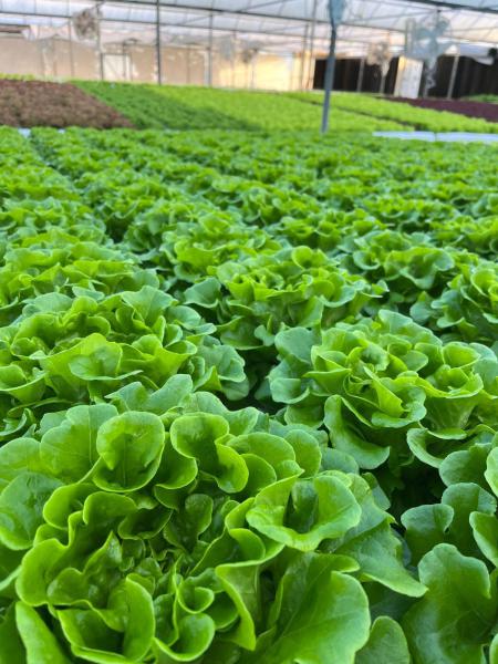  Commercial & Industrial Land Images 