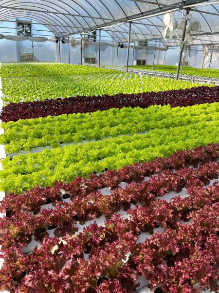  Commercial & Industrial Land Images 