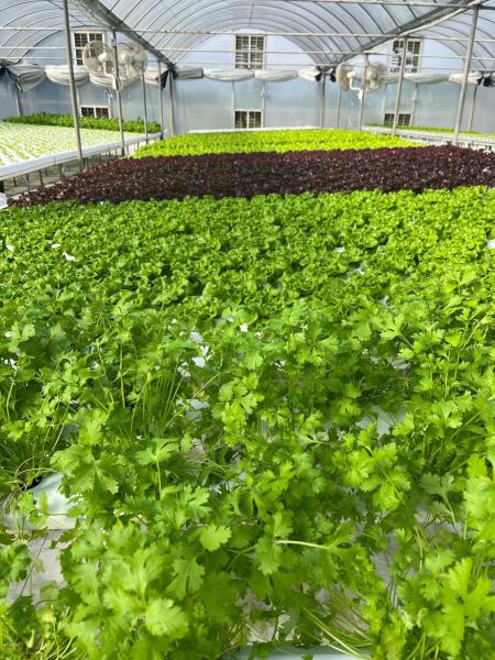  Commercial & Industrial Land Images 