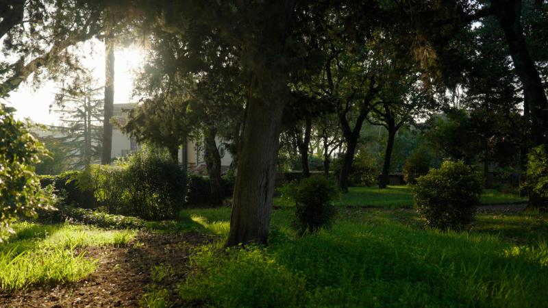  Single Family Homes Photo 17:  Out of Country,  Out of Country 00000