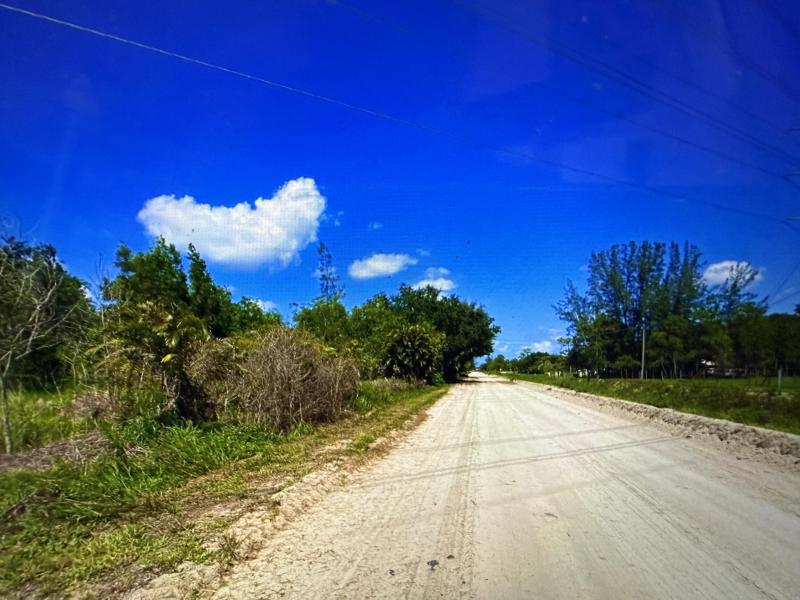 Duplex, Triplex and Fourplex Images