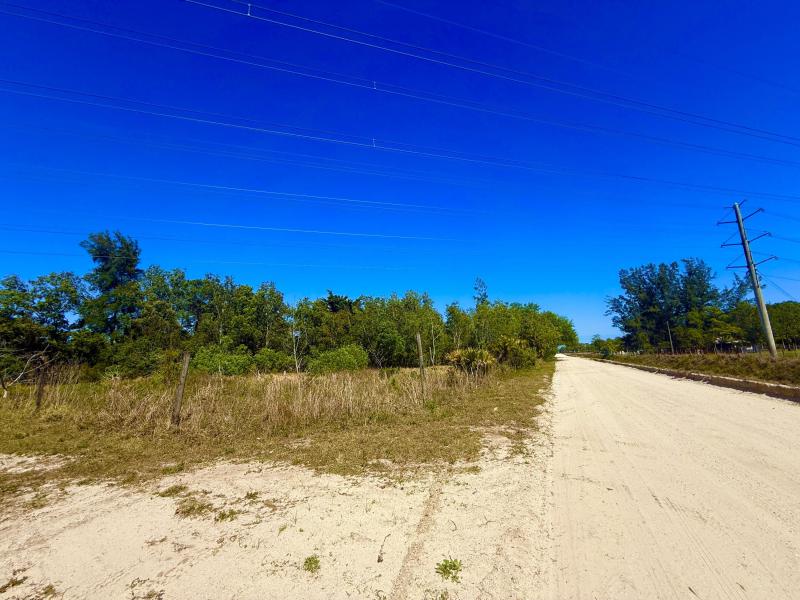 Duplex, Triplex and Fourplex Images