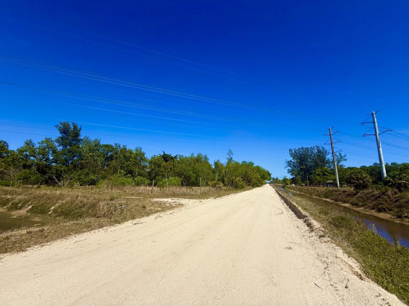 Duplex, Triplex and Fourplex Images