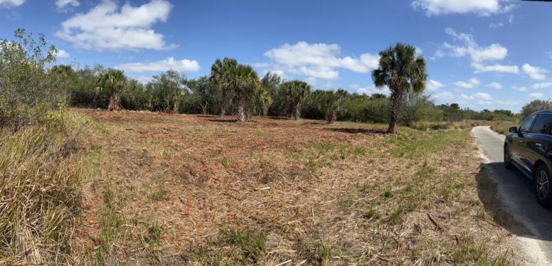 Duplex, Triplex and Fourplex Images