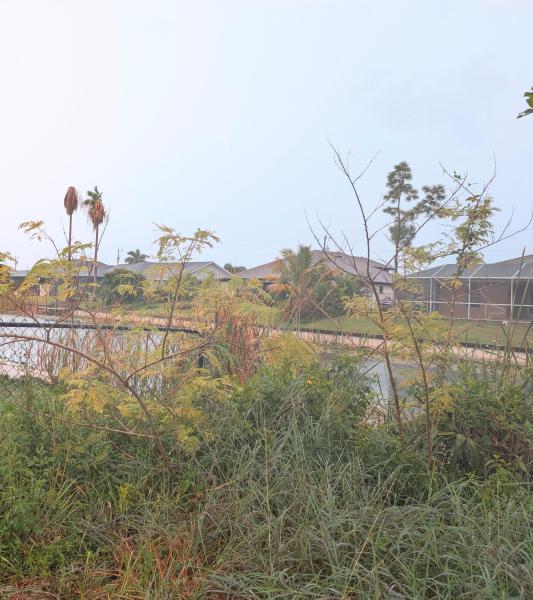 Duplex, Triplex and Fourplex Images