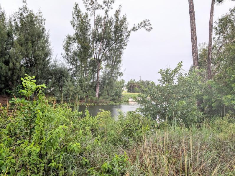 Duplex, Triplex and Fourplex Images