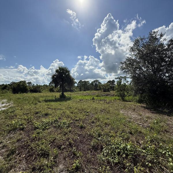  Commercial & Industrial Land Images 