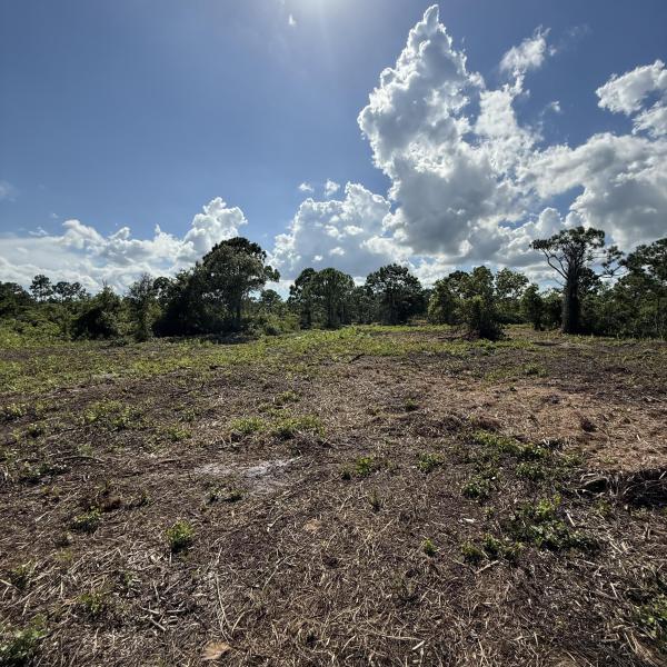  Commercial & Industrial Land Images 