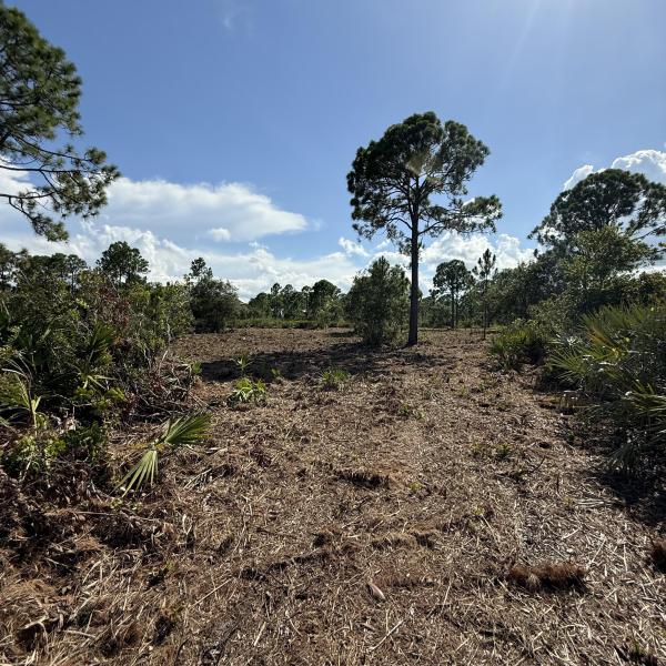  Commercial & Industrial Land Images 