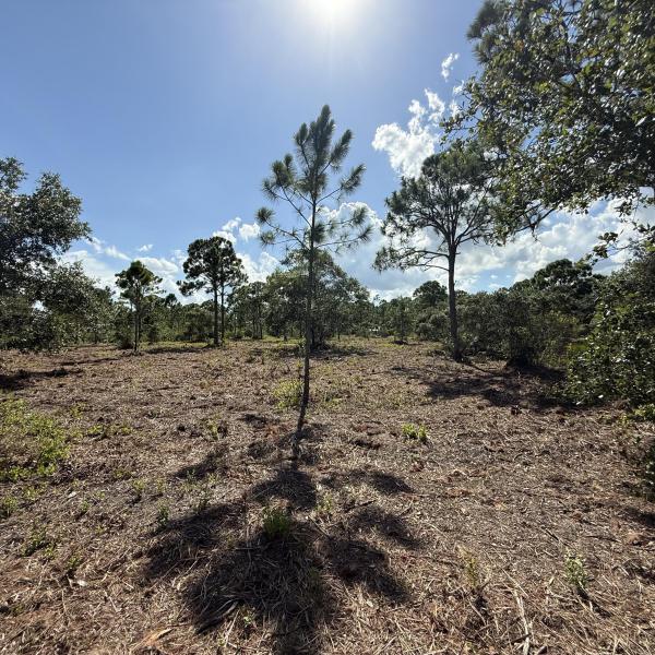  Commercial & Industrial Land Images 