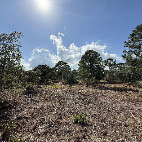  Commercial & Industrial Land Images 