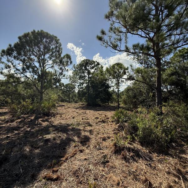  Commercial & Industrial Land Images 