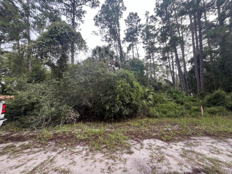 Duplex, Triplex and Fourplex Images