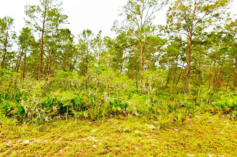  Commercial & Industrial Land Images 