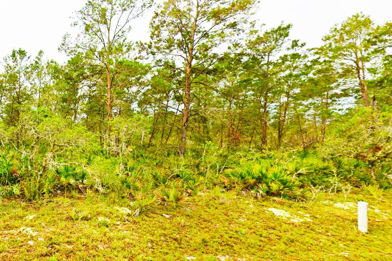  Commercial & Industrial Land Images 