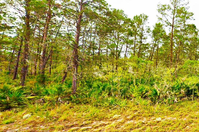  Commercial & Industrial Land Images 