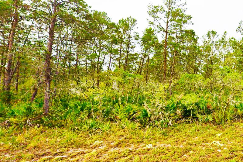  Commercial & Industrial Land Images 