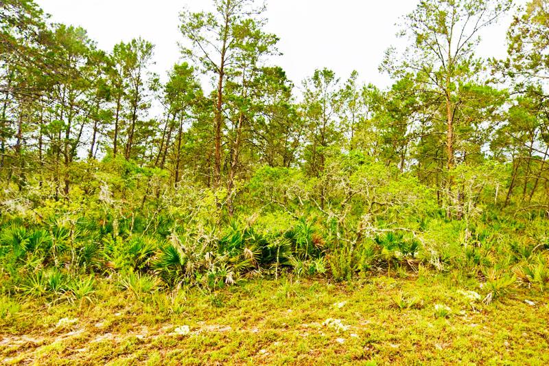  Commercial & Industrial Land Images 