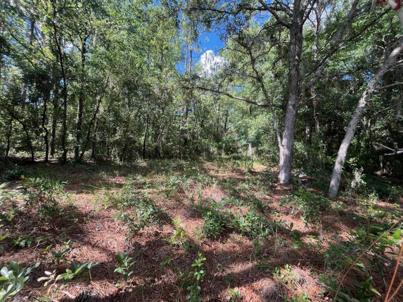  Commercial & Industrial Land Images 