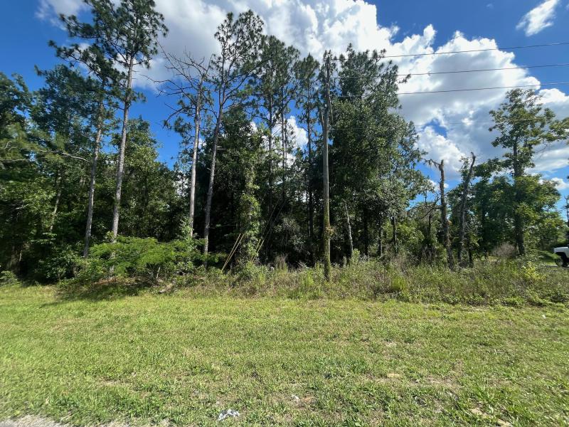  Commercial & Industrial Land Images 