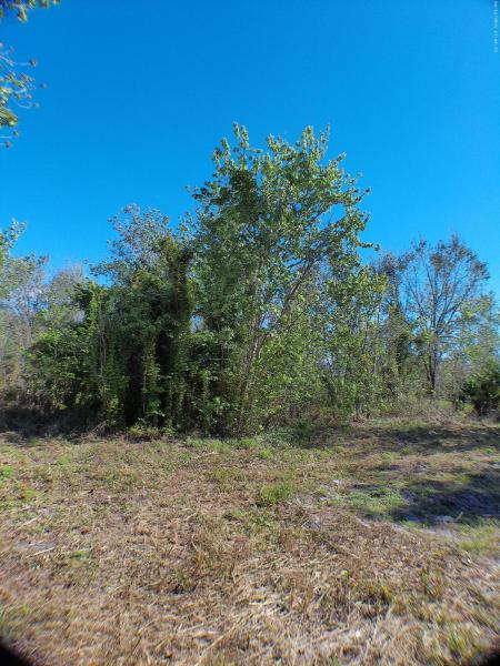  Commercial & Industrial Land Images 