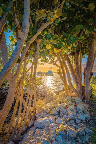 Duplex, Triplex and Fourplex Images