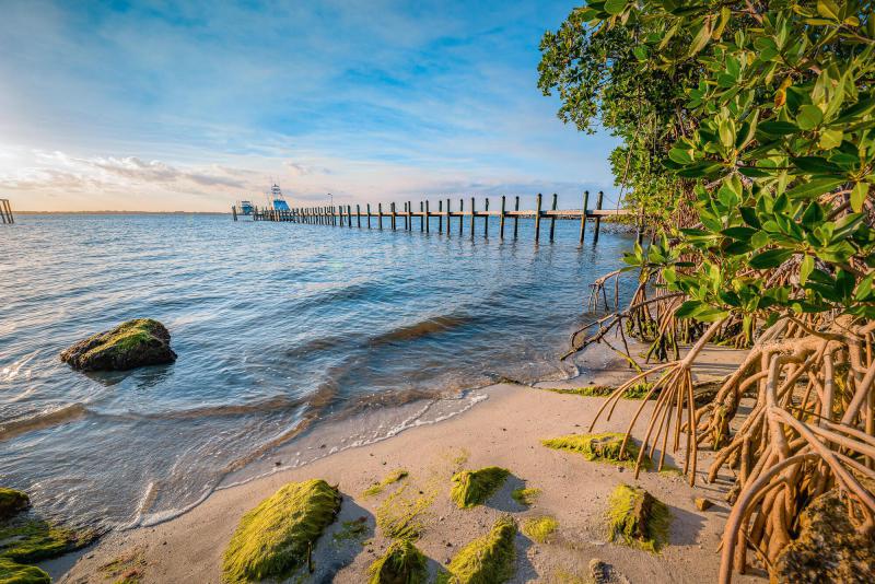 Duplex, Triplex and Fourplex Images