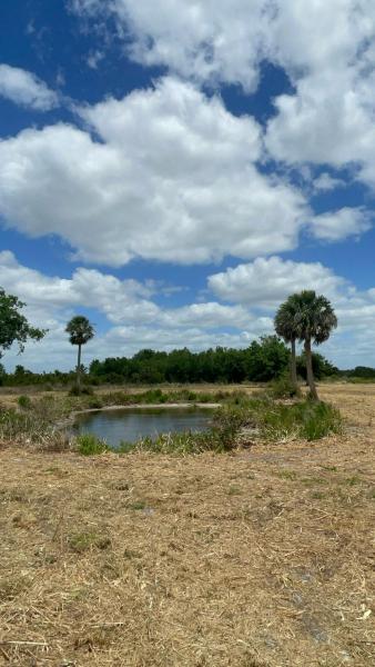  Commercial & Industrial Land Images 