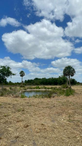  Commercial & Industrial Land Images 