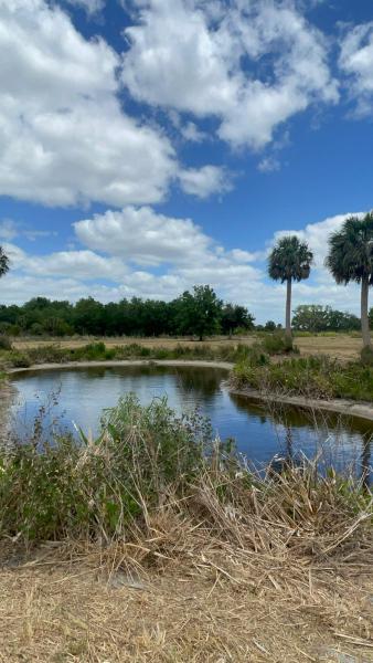  Commercial & Industrial Land Images 