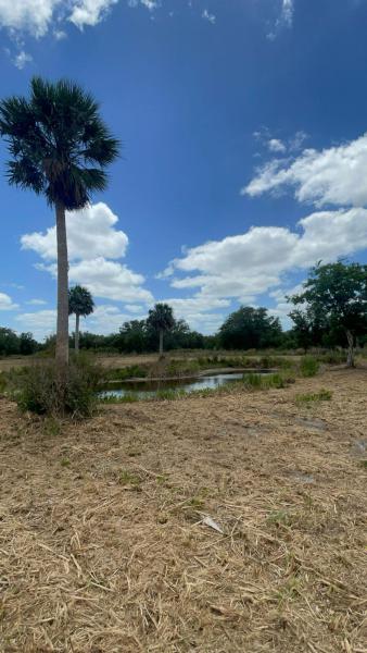  Commercial & Industrial Land Images 