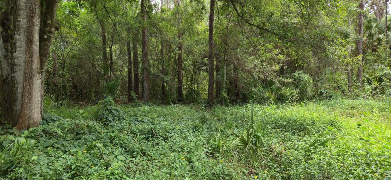  Commercial & Industrial Land Images 