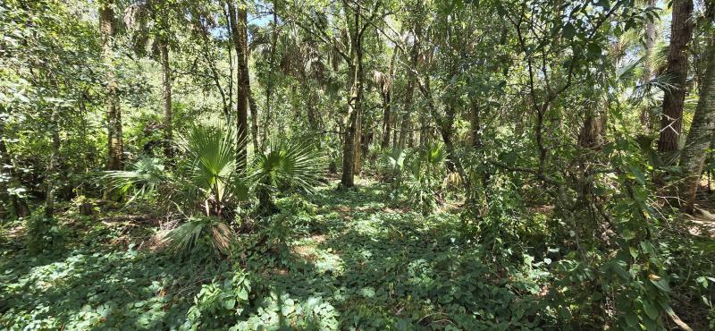  Commercial & Industrial Land Images 