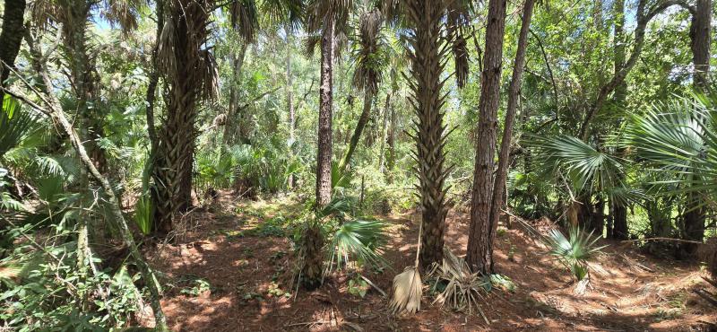  Commercial & Industrial Land Images 