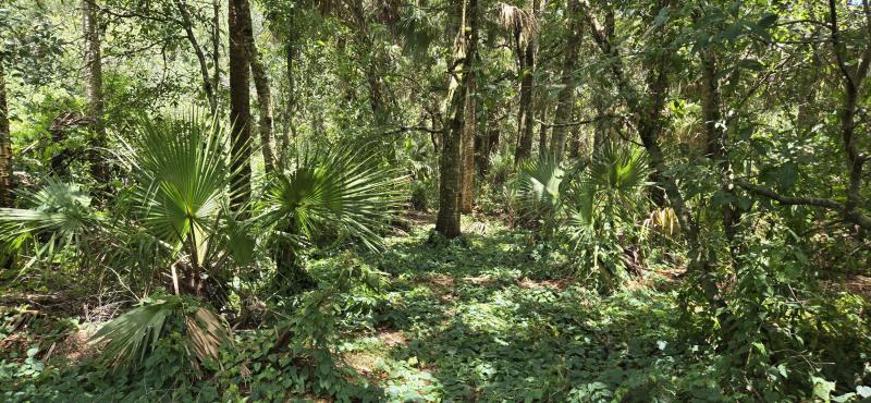  Commercial & Industrial Land Images 