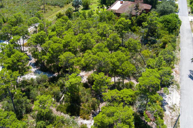 Duplex, Triplex and Fourplex Images