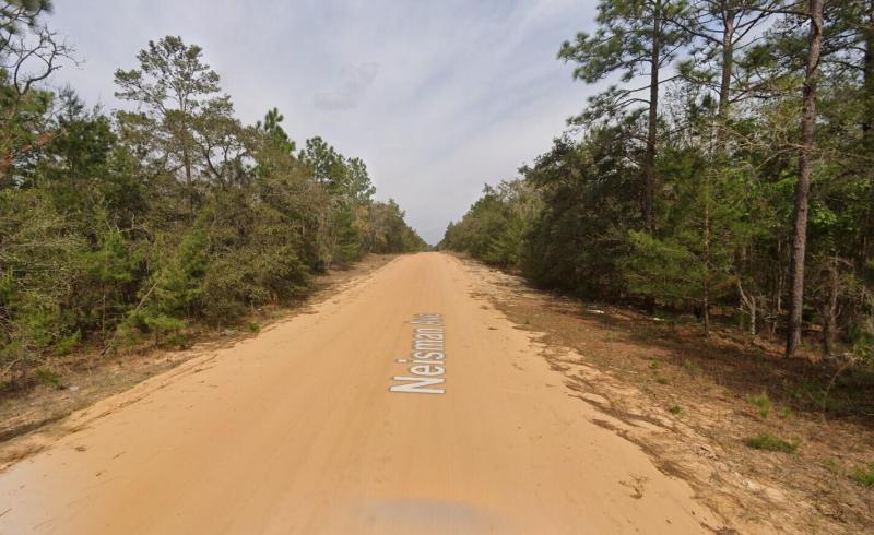 Duplex, Triplex and Fourplex Images