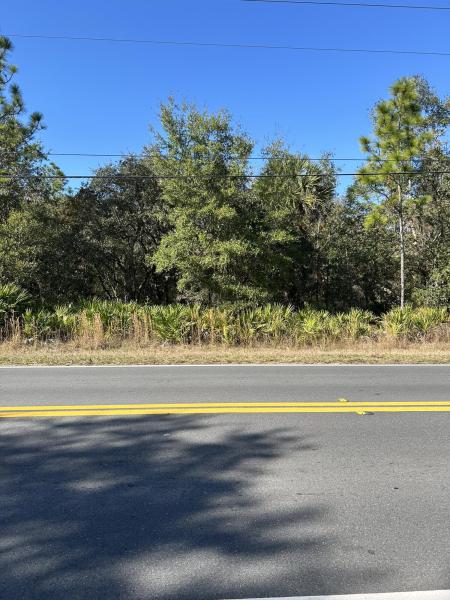 Duplex, Triplex and Fourplex Images