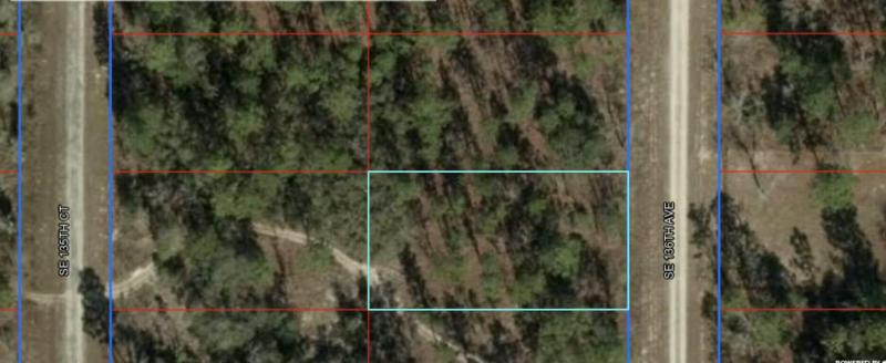 Duplex, Triplex and Fourplex Images