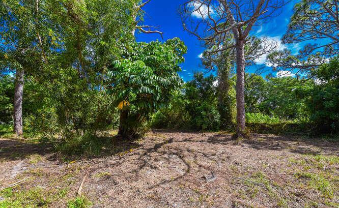 Duplex, Triplex and Fourplex Images