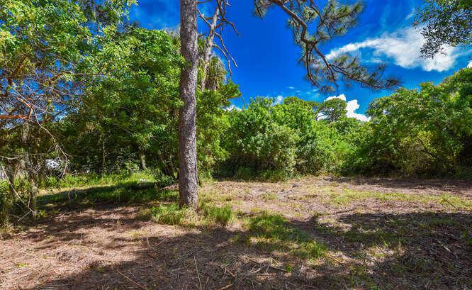 Duplex, Triplex and Fourplex Images