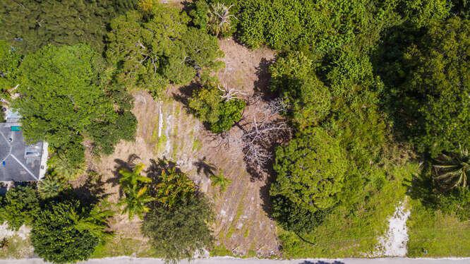 Duplex, Triplex and Fourplex Images