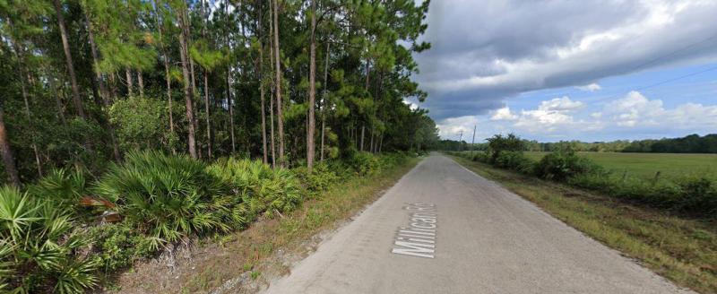 Duplex, Triplex and Fourplex Images