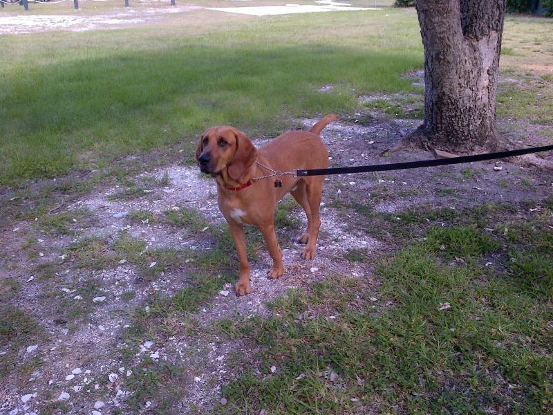  Commercial & Industrial Land Images 