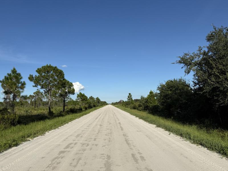 Duplex, Triplex and Fourplex Images