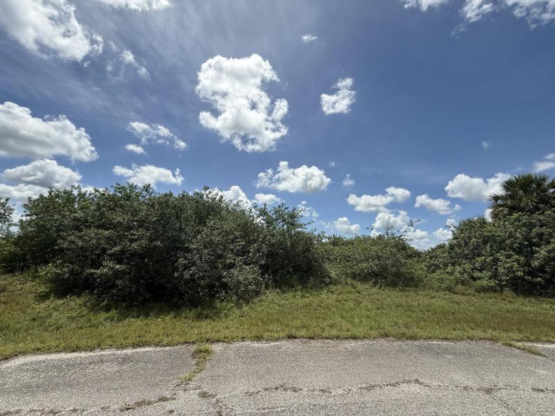 Duplex, Triplex and Fourplex Images