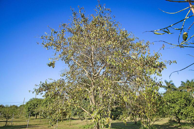  Commercial & Industrial Land Images 