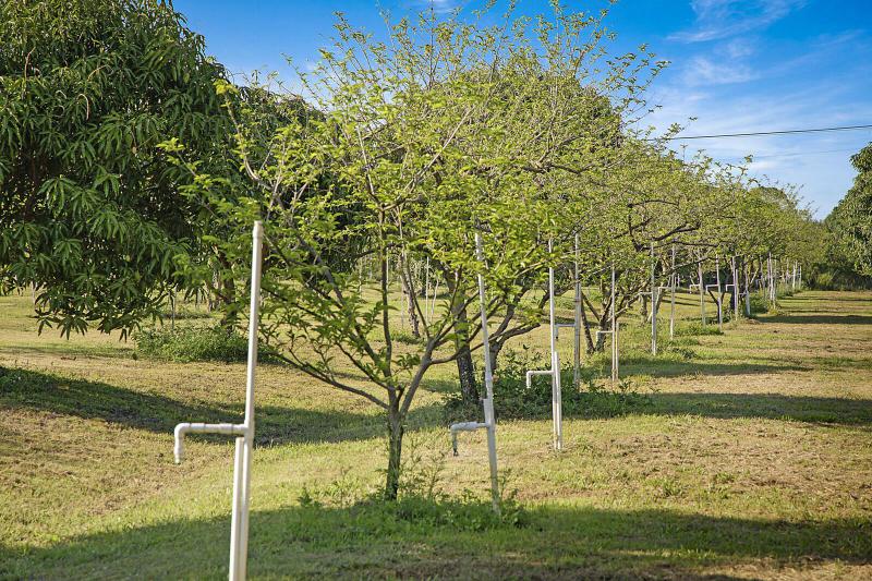  Commercial & Industrial Land Images 