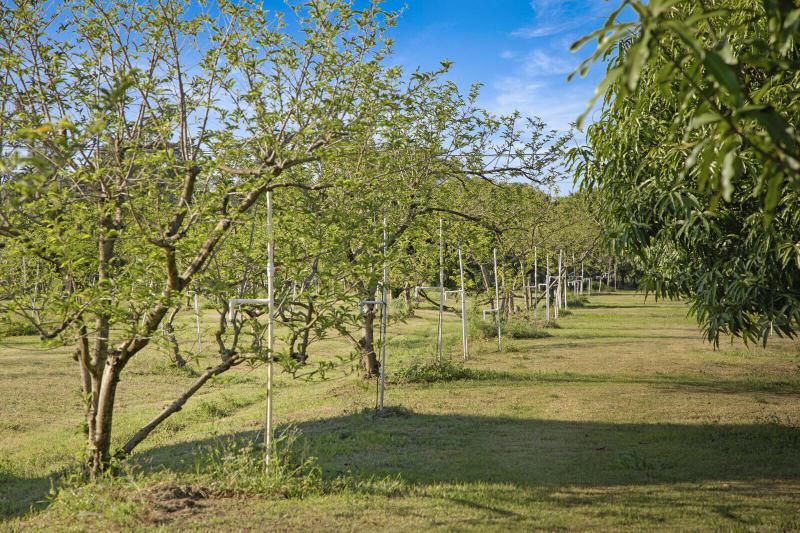  Commercial & Industrial Land Images 